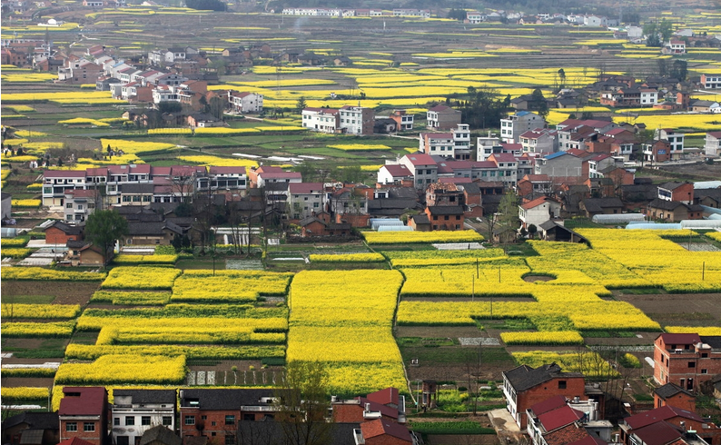 对话全域旅游——专访汉阴县长刘飞霞