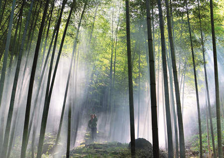 无锡积极从“景区旅游”转向“全域旅游”