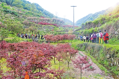 章水把美丽乡村的“盆景”变成全域旅游的“风景”