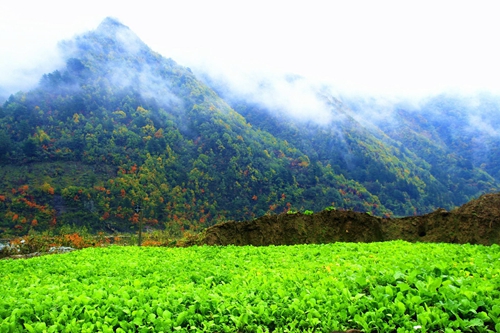 全域旅游聚焦镇安塔云山 发现你与自然的“小秘密”