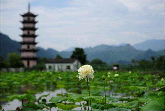 金华:全域旅游续写美丽经济新篇章